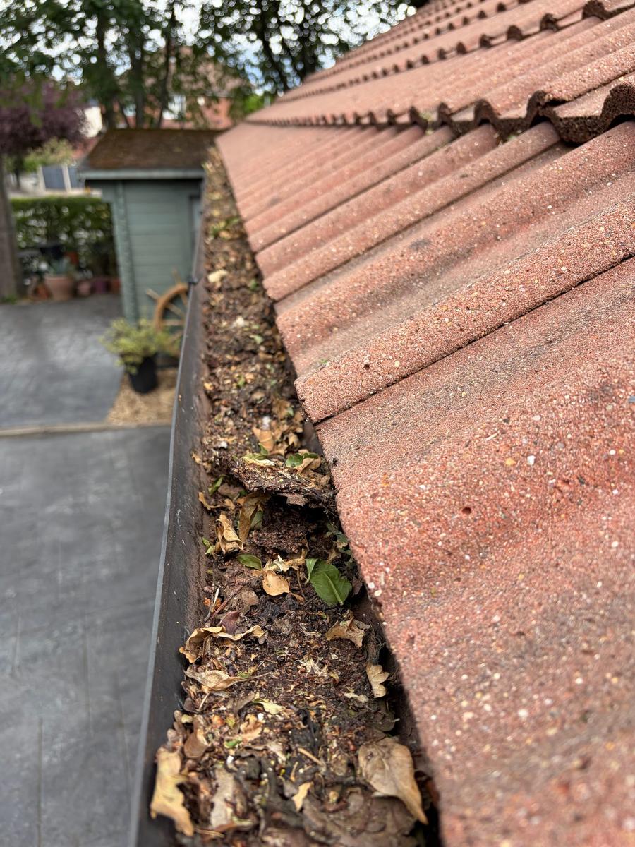 Gutter before cleaning, full of moss and debris